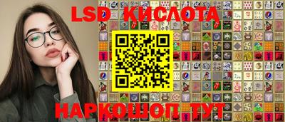 Альфа ПВП Кингисепп