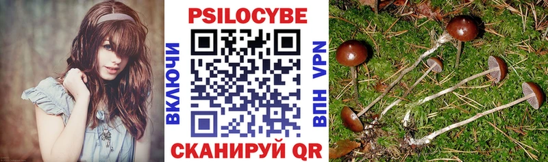 Галлюциногенные грибы MAGIC MUSHROOMS  Светлоград 