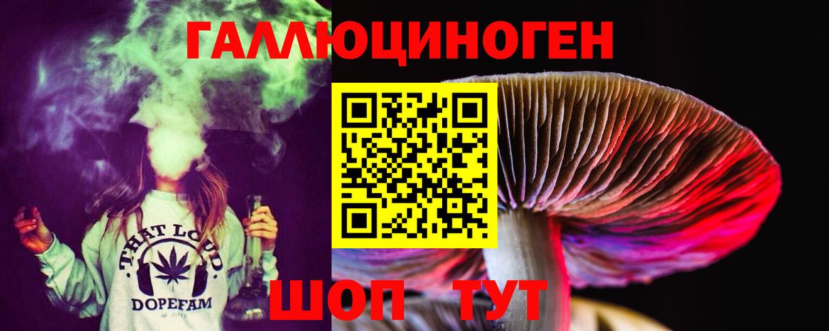 Галлюциногенные грибы GOLDEN TEACHER Светлоград