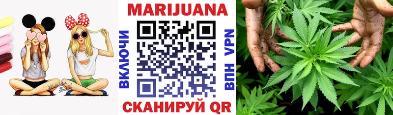 Конопля планчик  Светлоград 